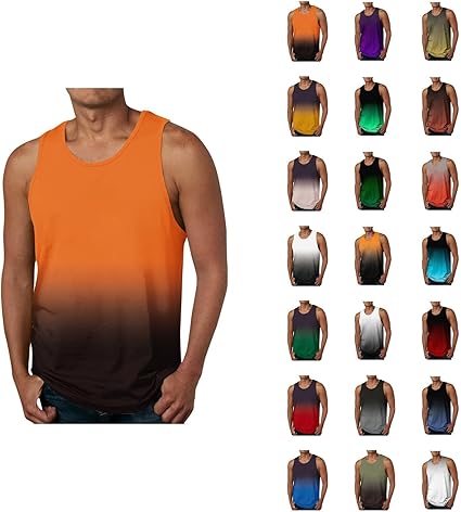 On グラデーション ノースリーブTシャツ On グラデーション ノースリーブTシャツ THE NORTH FACE 5%OFF
